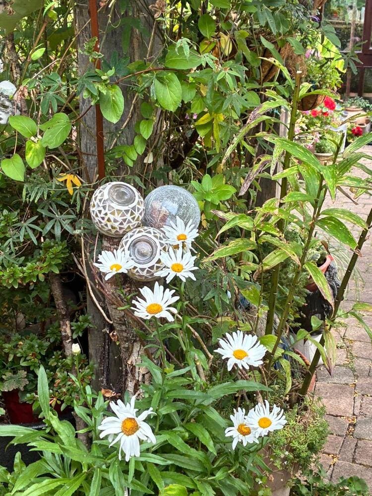 Garden maintenance work 6