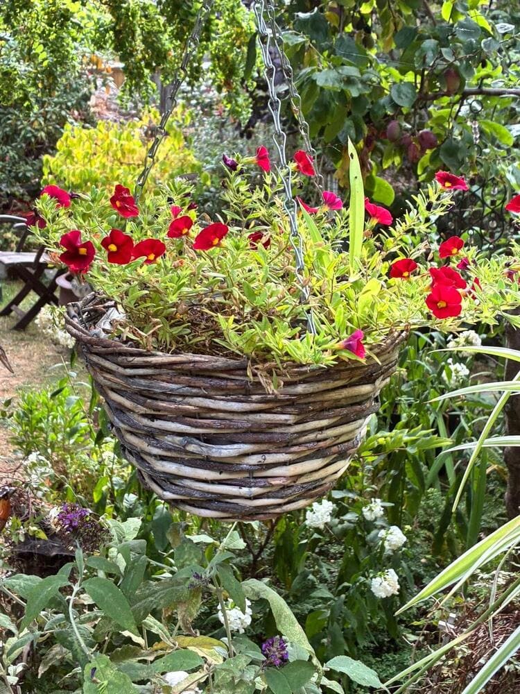 Garden maintenance work 7